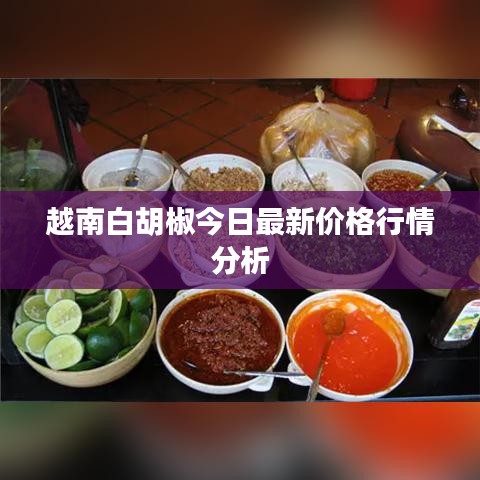 越南白胡椒今日最新价格行情分析