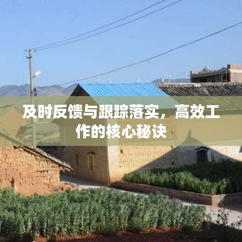 及时反馈与跟踪落实，高效工作的核心秘诀