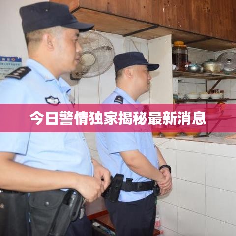 今日警情独家揭秘最新消息