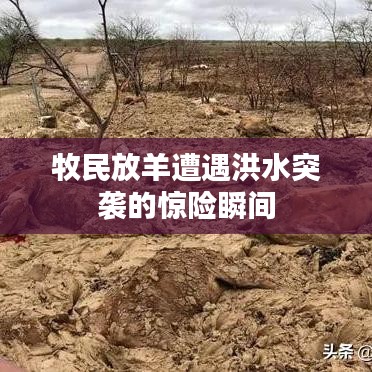 喷涂车间 第72页