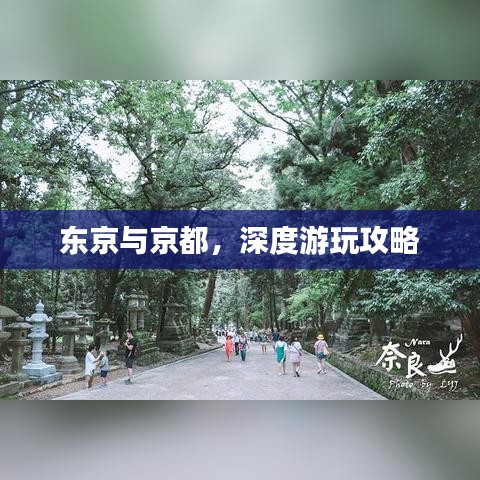 东京与京都,深度游玩攻略