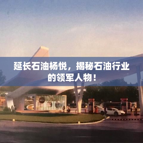 延长石油杨悦,揭秘石油行业的领军人物!