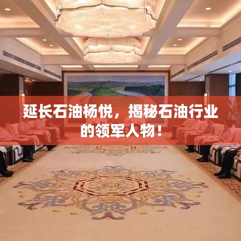 延长石油杨悦,揭秘石油行业的领军人物!