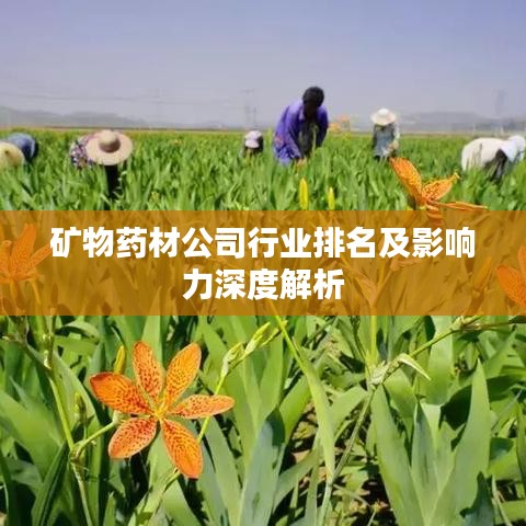 检测设备 第70页