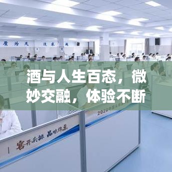 酒与人生百态，微妙交融，体验不断