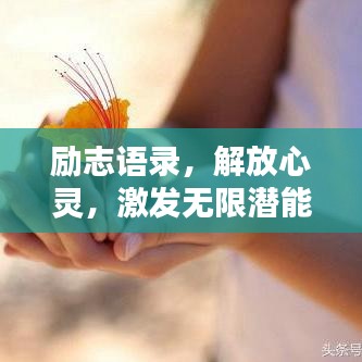 励志语录，解放心灵，激发无限潜能的力量