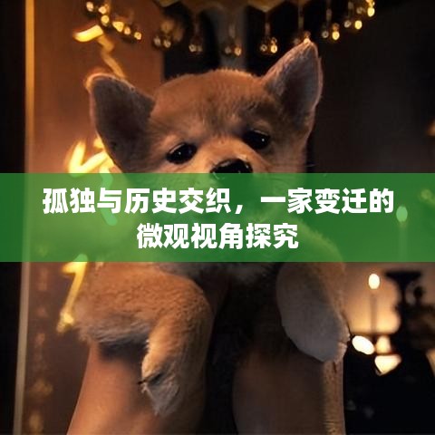 孤独与历史交织,一家变迁的微观视角探究