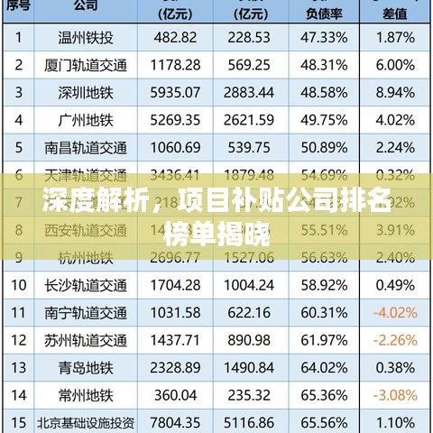 深度解析，项目补贴公司排名榜单揭晓