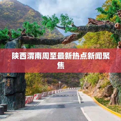 衣不兼彩 第6页