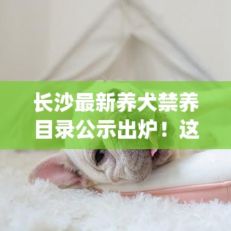 张袂成阴 第7页