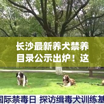 长沙最新养犬禁养目录公示出炉!这些犬种被禁止饲养