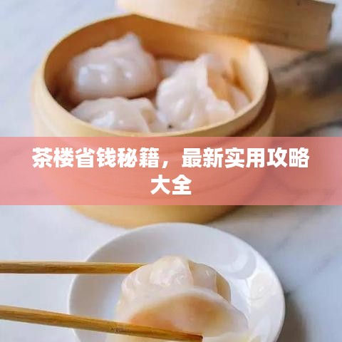 茶楼省钱秘籍,最新实用攻略大全