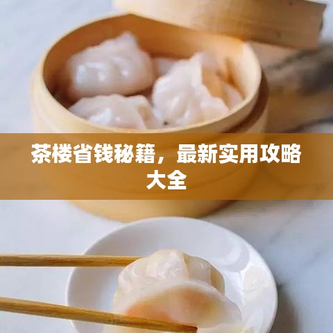 茶楼省钱秘籍,最新实用攻略大全