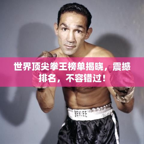世界顶尖拳王榜单揭晓，震撼排名，不容错过！