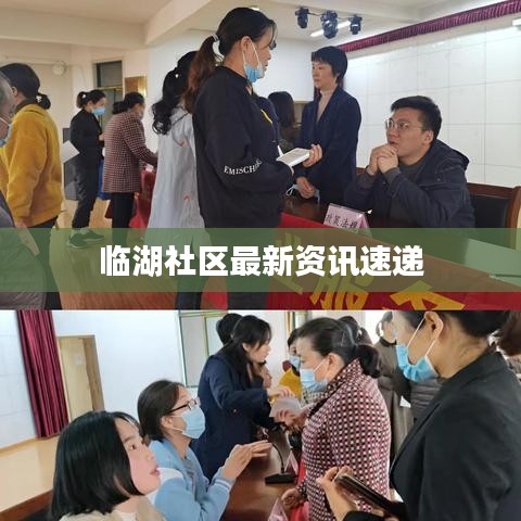 临湖社区最新资讯速递