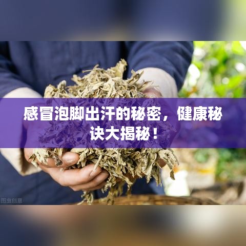 感冒泡脚出汗的秘密，健康秘诀大揭秘！