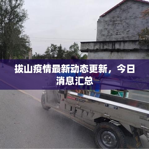 拔山疫情最新动态更新,今日消息汇总