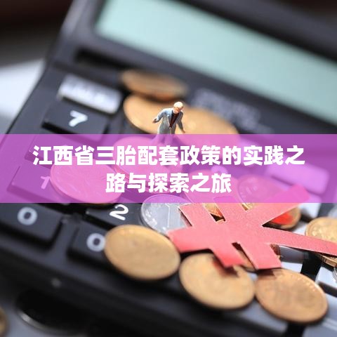 江西省三胎配套政策的实践之路与探索之旅