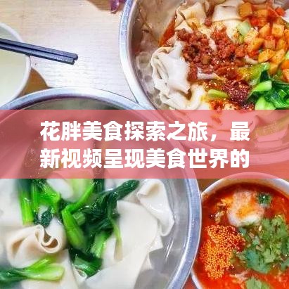 花胖美食探索之旅,最新视频呈现美食世界的精彩瞬间