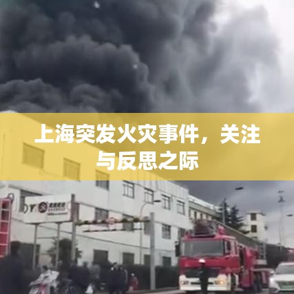 上海突发火灾事件,关注与反思之际
