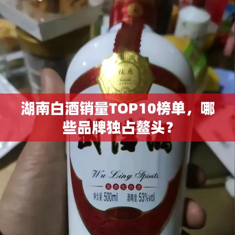 湖南白酒销量TOP10榜单,哪些品牌独占鳌头?
