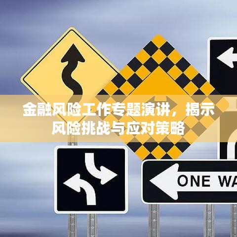 金融风险工作专题演讲,揭示风险挑战与应对策略