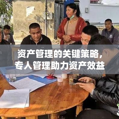 资产管理的关键策略,专人管理助力资产效益与效率提升