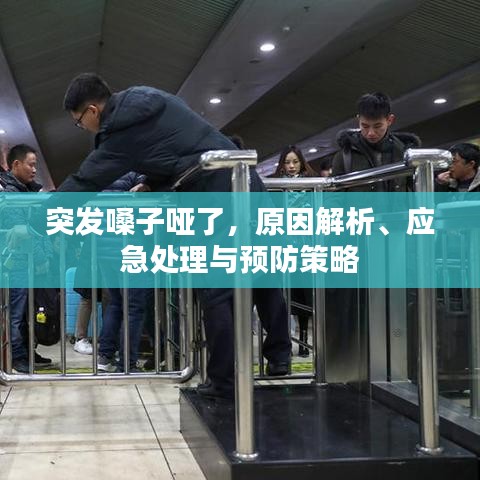 突发嗓子哑了，原因解析、应急处理与预防策略