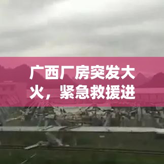 企业动态 第70页