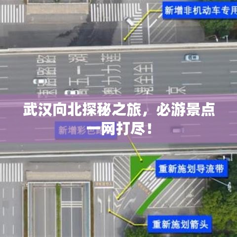 纲挈目张 第7页