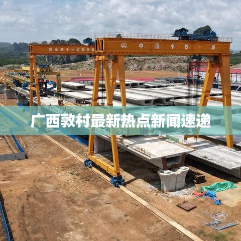 广西敦村最新热点新闻速递