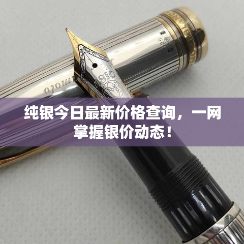 纯银今日最新价格查询,一网掌握银价动态!