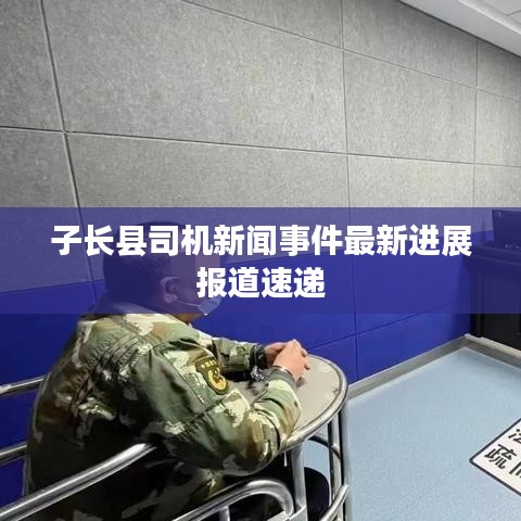 子长县司机新闻事件最新进展报道速递