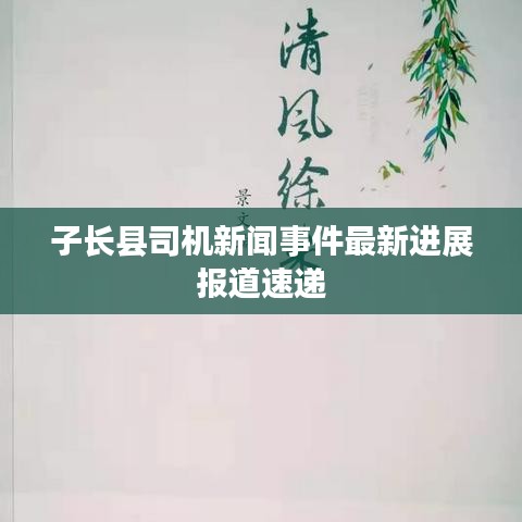 子长县司机新闻事件最新进展报道速递