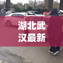 客户留言 第69页