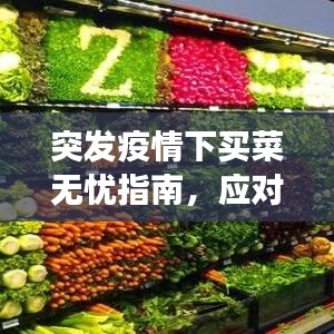 突发疫情下买菜无忧指南，应对蔬菜短缺的有效方法
