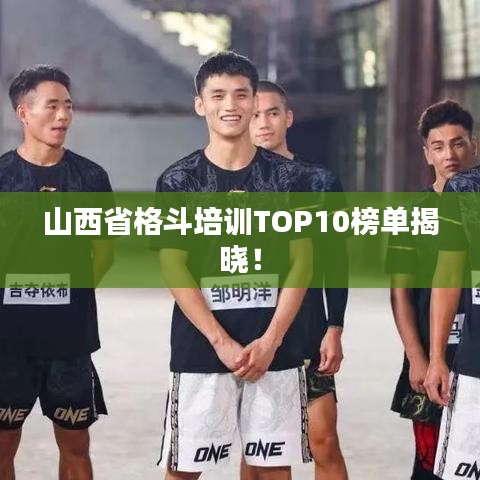 山西省格斗培训TOP10榜单揭晓！