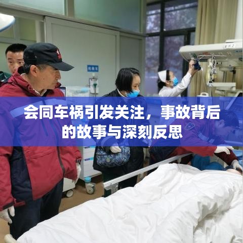 会同车祸引发关注,事故背后的故事与深刻反思