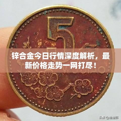 锌合金今日行情深度解析，最新价格走势一网打尽！
