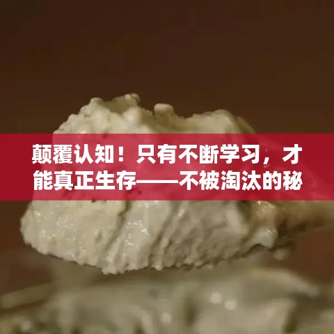 颠覆认知!只有不断学习,才能真正生存——不被淘汰的秘诀