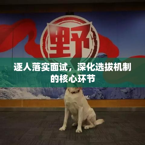 逐人落实面试,深化选拔机制的核心环节