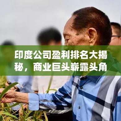 印度公司盈利排名大揭秘,商业巨头崭露头角