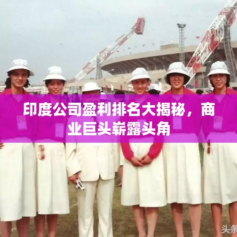 印度公司盈利排名大揭秘,商业巨头崭露头角