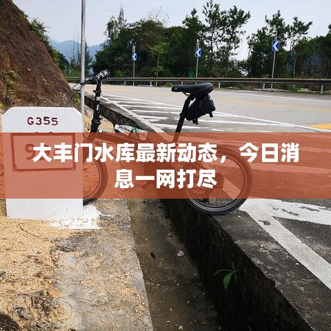 大丰门水库最新动态，今日消息一网打尽
