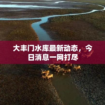 大丰门水库最新动态,今日消息一网打尽