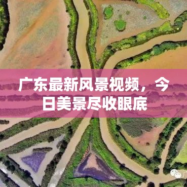 广东最新风景视频，今日美景尽收眼底