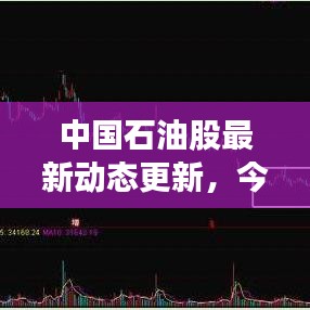 中国石油股最新动态更新,今日消息一览