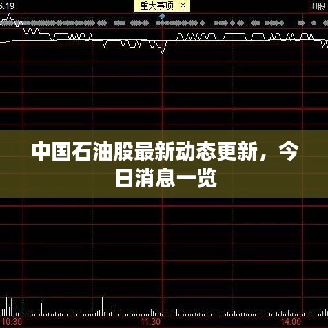 中国石油股最新动态更新,今日消息一览