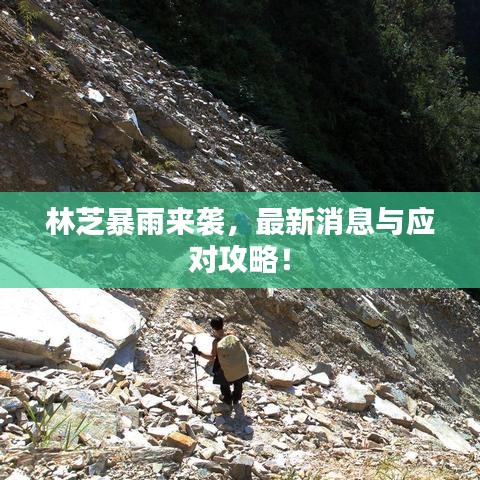 林芝暴雨来袭,最新消息与应对攻略!