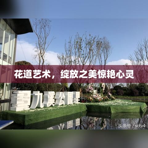 花道艺术，绽放之美惊艳心灵